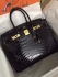 Hermes croc skin Bag 004